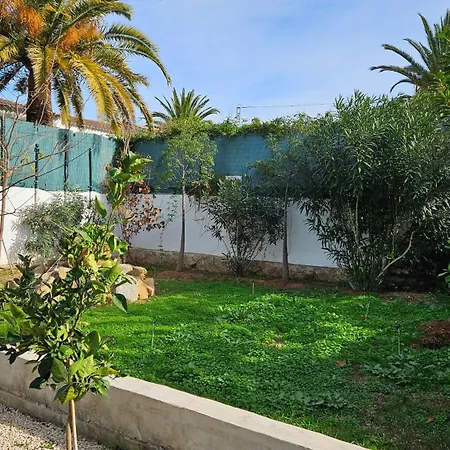Altomira דניה