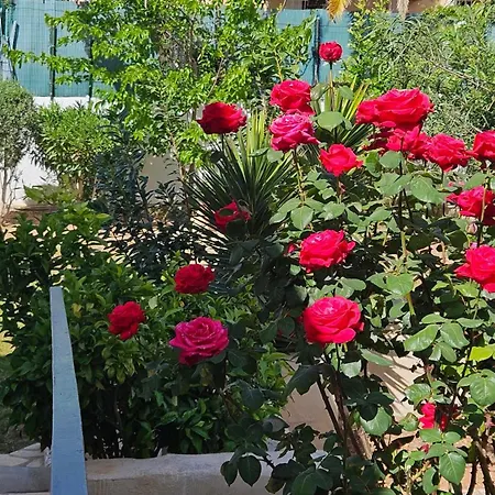 Altomira Denia